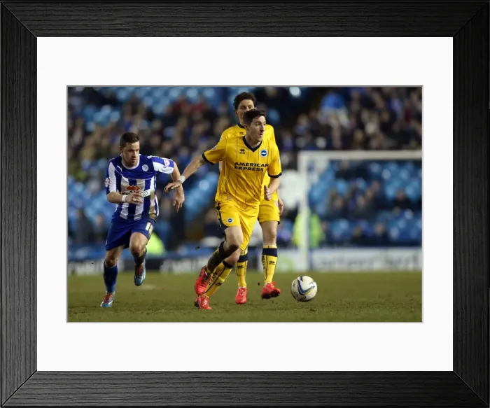 Framed Print : Brighton & Hove Albion vs. Sheffield Wednesday (Away Game - March 25, 2014)