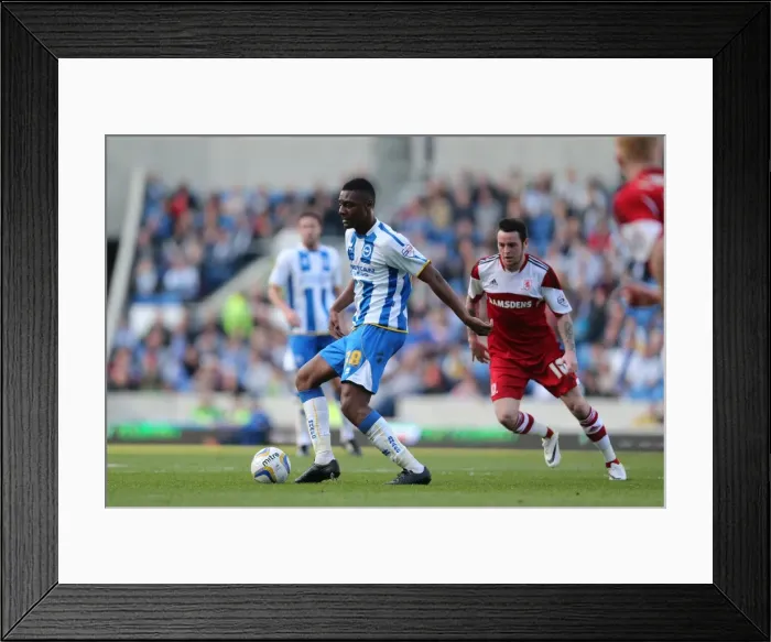 Framed Print : Brighton & Hove Albion vs. Middlesbrough: 2013-14 Season Home Game Framed Print : Brighton & Hove Albion vs. Middlesbrough: 2013-14 Season Home Game