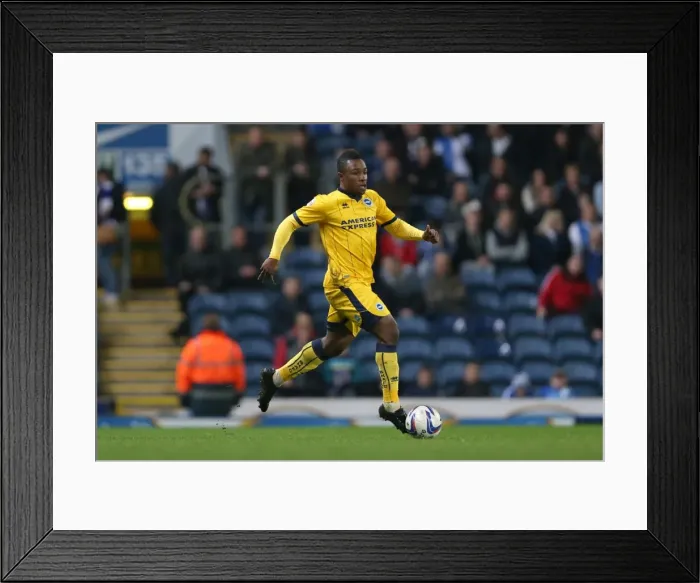 Framed Print : Brighton & Hove Albion vs. Blackburn Rovers (Away): 2013-14 Season Framed Print : Brighton & Hove Albion vs. Blackburn Rovers (Away): 2013-14 Season