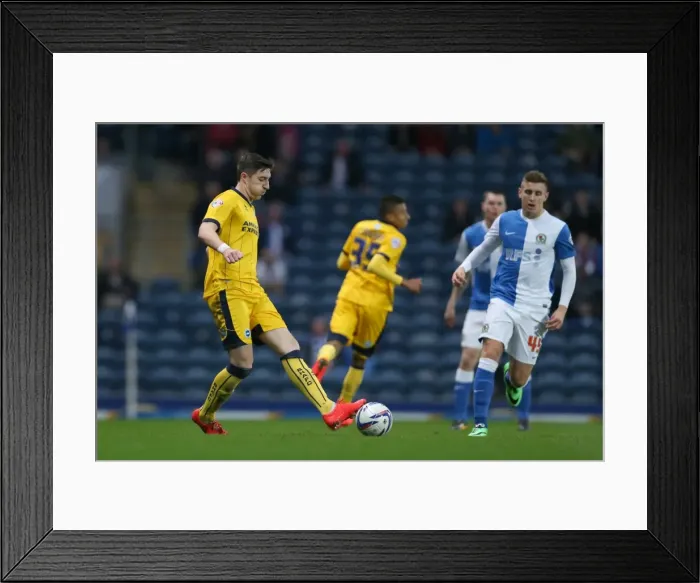 Framed Print : Brighton & Hove Albion 2013-14: Away Game at Blackburn Rovers (April 1, 2014)