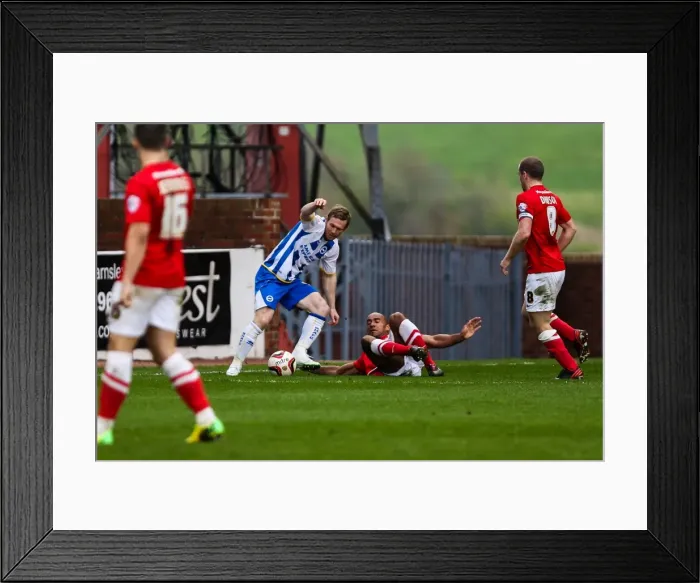 Framed Print : Barnsley vs. Brighton & Hove Albion: Skybet Championship Clash at Amex Stadium (05 / 04 / 14) Framed Print : Barnsley vs. Brighton & Hove Albion: Skybet Championship Clash at Amex Stadium (05 / 04 / 14)