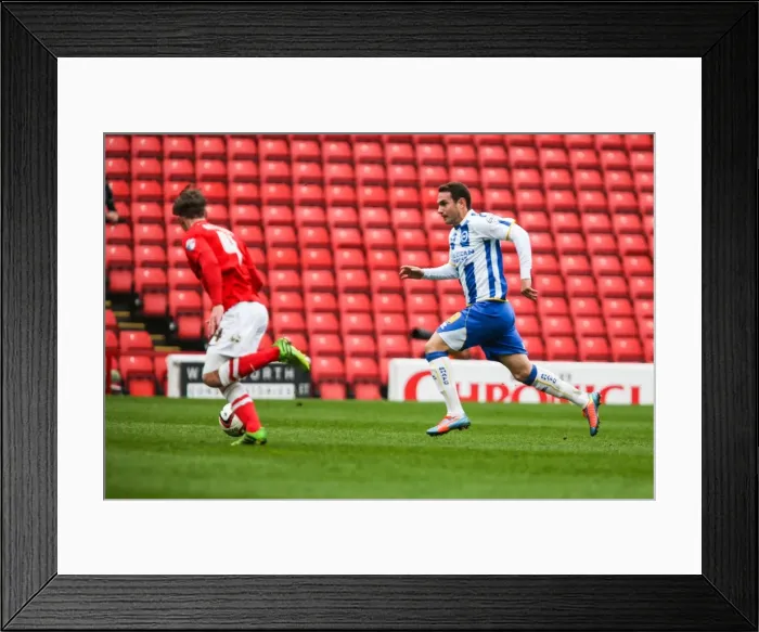 Framed Print : Barnsley vs. Brighton & Hove Albion: Skybet Championship Clash at Amex Stadium (05 / 04 / 14)