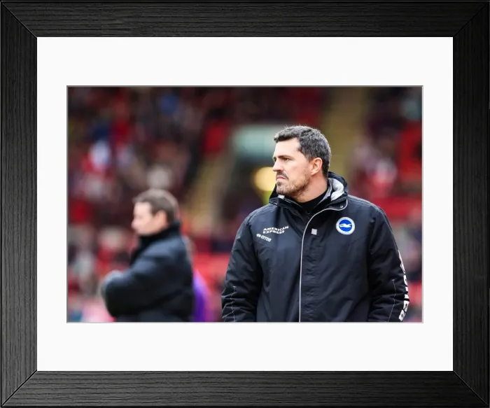 Framed Print : Oscar Garcia Leads Brighton & Hove Albion Against Barnsley, Skybet Championship 2014 Framed Print : Oscar Garcia Leads Brighton & Hove Albion Against Barnsley, Skybet Championship 2014