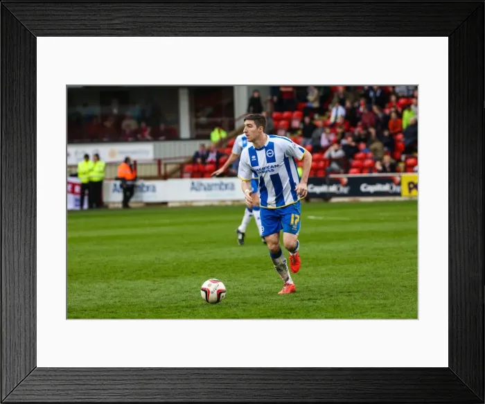 Framed Print : Barnsley vs. Brighton & Hove Albion: Skybet Championship Clash at Amex Stadium (05 / 04 / 14) Framed Print : Barnsley vs. Brighton & Hove Albion: Skybet Championship Clash at Amex Stadium (05 / 04 / 14)