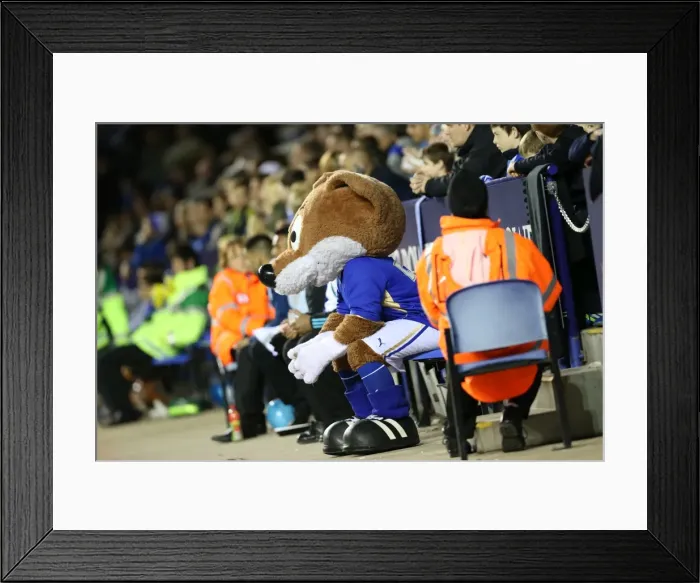 Framed Print : Brighton & Hove Albion at Leicester City (08 / 04 / 14) - Away Game, 2013-14 Season
