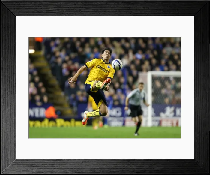 Framed Print : Brighton & Hove Albion at Leicester City (08 / 04 / 14) - Away Game, 2013-14 Season Framed Print : Brighton & Hove Albion at Leicester City (08 / 04 / 14) - Away Game, 2013-14 Season