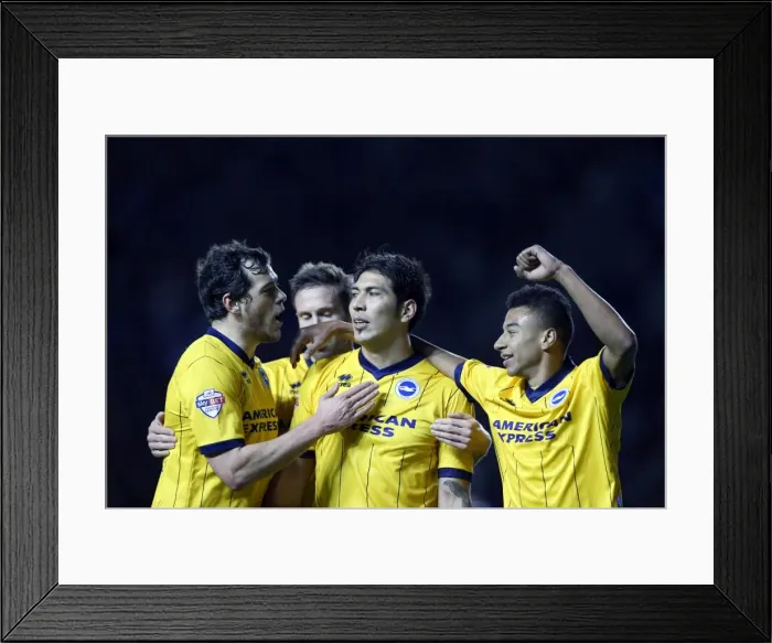 Framed Print : Brighton & Hove Albion at Leicester City (Away Game), 8th April 2014 Framed Print : Brighton & Hove Albion at Leicester City (Away Game), 8th April 2014