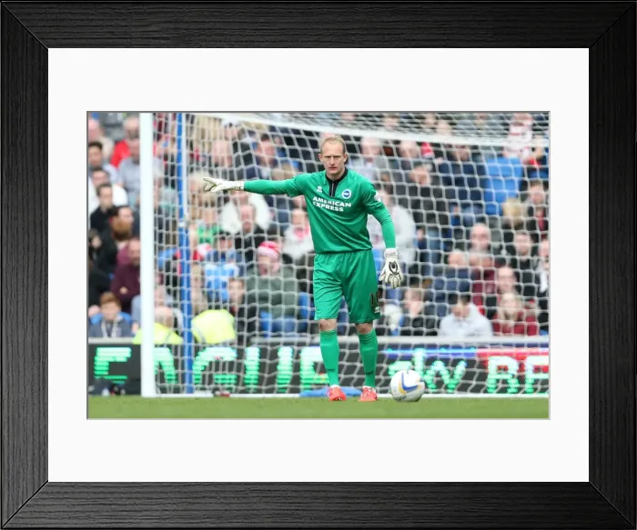 Framed Print : Brighton & Hove Albion vs Charlton Athletic (12 / 04 / 14): A Home Game from the 2013-14 Season Framed Print : Brighton & Hove Albion vs Charlton Athletic (12 / 04 / 14): A Home Game from the 2013-14 Season
