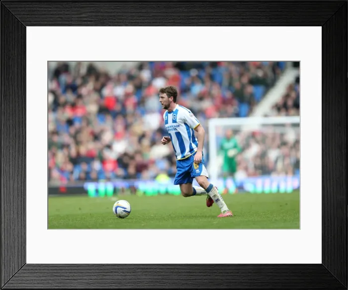 Framed Print : Brighton & Hove Albion vs Charlton Athletic (12 / 04 / 14): A Home Game from the 2013-14 Season