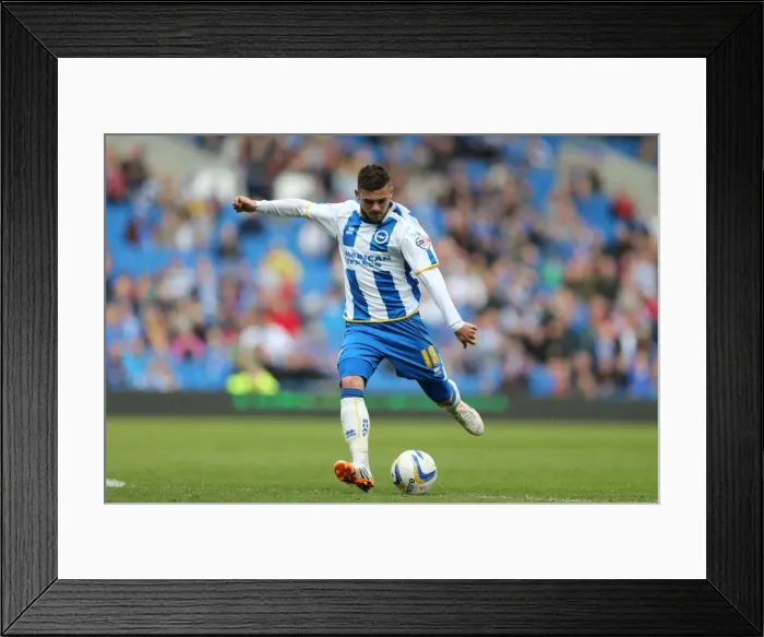 Framed Print : Brighton & Hove Albion vs Charlton Athletic (12 / 04 / 14): A Home Game from the 2013-14 Season