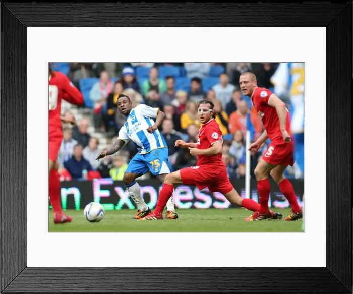 Framed Print : Brighton & Hove Albion vs Charlton Athletic (12 / 04 / 14): A Home Game from the 2013-14 Season Framed Print : Brighton & Hove Albion vs Charlton Athletic (12 / 04 / 14): A Home Game from the 2013-14 Season