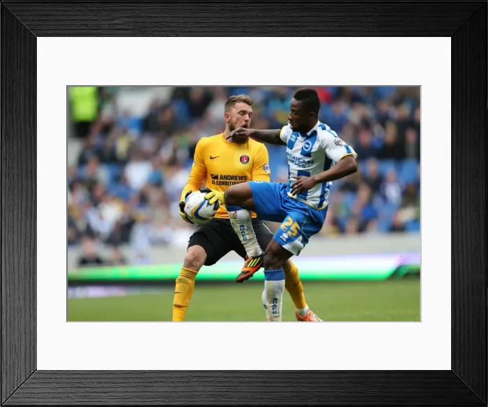 Framed Print : Brighton & Hove Albion vs Charlton Athletic (12 / 04 / 14): A Home Game from the 2013-14 Season Framed Print : Brighton & Hove Albion vs Charlton Athletic (12 / 04 / 14): A Home Game from the 2013-14 Season