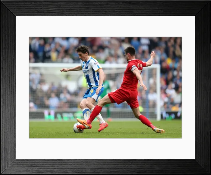 Framed Print : Brighton & Hove Albion vs Charlton Athletic (12 / 04 / 14) - 2013-14 Home Games