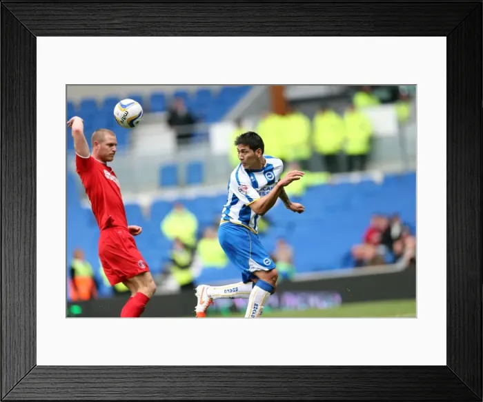 Framed Print : Brighton & Hove Albion vs Charlton Athletic (12 / 04 / 14): A Home Game from the 2013-14 Season Framed Print : Brighton & Hove Albion vs Charlton Athletic (12 / 04 / 14): A Home Game from the 2013-14 Season