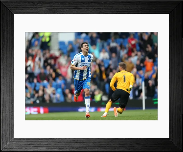 Framed Print : Brighton & Hove Albion vs Charlton Athletic (12 / 04 / 14): A Home Game from the 2013-14 Season
