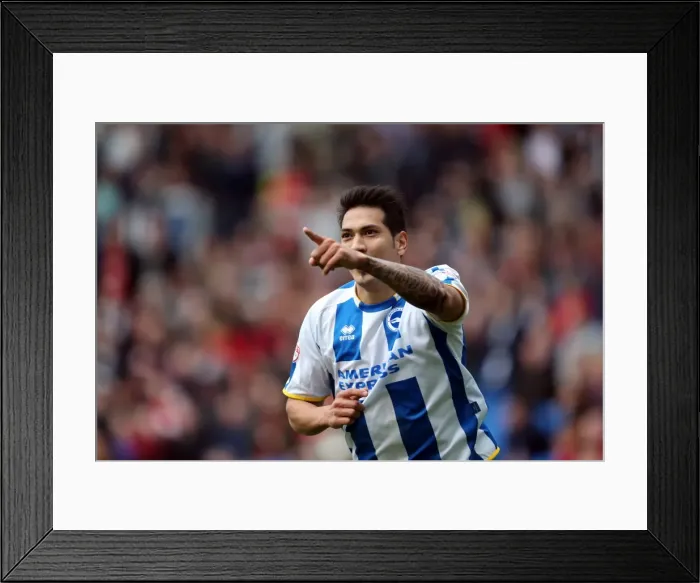 Framed Print : Brighton & Hove Albion vs Charlton Athletic (12 / 04 / 14): A Home Game from the 2013-14 Season