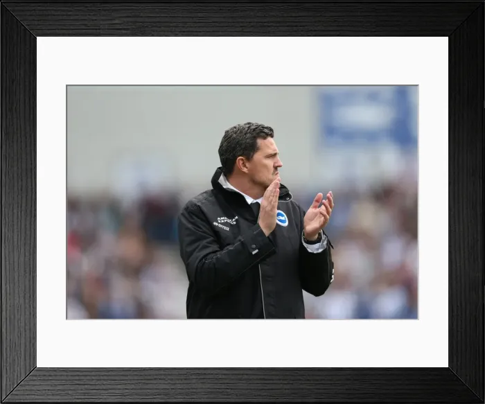 Framed Print : Brighton & Hove Albion vs Charlton Athletic (12 / 04 / 14): A Home Game from the 2013-14 Season