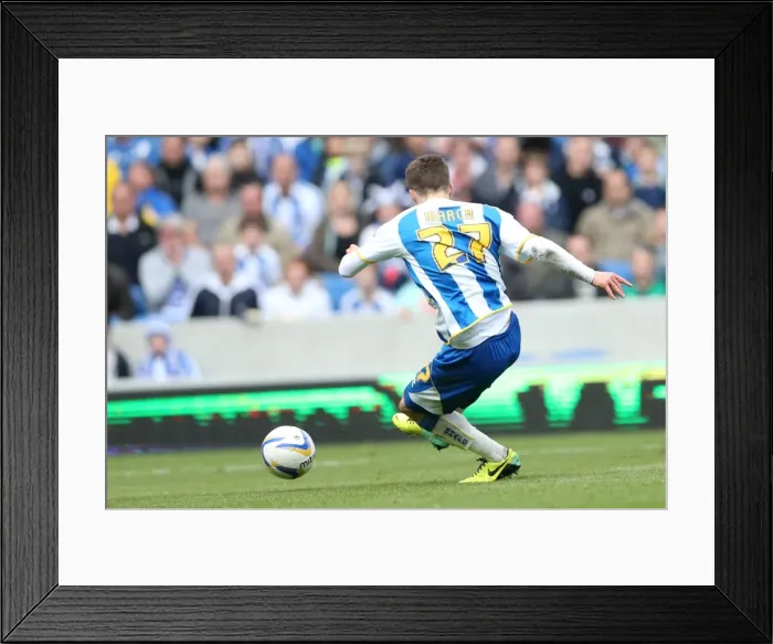 Framed Print : Brighton & Hove Albion vs Charlton Athletic (12 / 04 / 14): A Home Game from the 2013-14 Season Framed Print : Brighton & Hove Albion vs Charlton Athletic (12 / 04 / 14): A Home Game from the 2013-14 Season