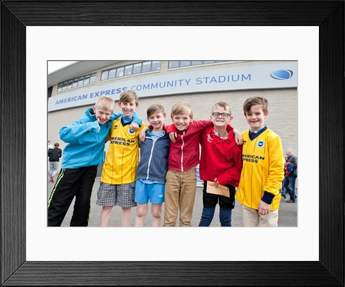 Framed Print : Brighton & Hove Albion vs Charlton Athletic (12 / 04 / 14): A Home Game from the 2013-14 Season