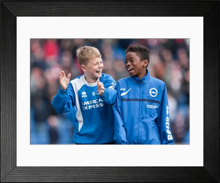 Framed Print : Brighton & Hove Albion vs Charlton Athletic (12 / 04 / 14): A Home Game from the 2013-14 Season Framed Print : Brighton & Hove Albion vs Charlton Athletic (12 / 04 / 14): A Home Game from the 2013-14 Season
