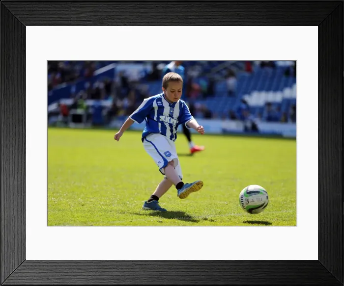 Framed Print : Young Seagulls Open Day (Easter 2014) at Brighton & Hove Albion FC Framed Print : Young Seagulls Open Day (Easter 2014) at Brighton & Hove Albion FC