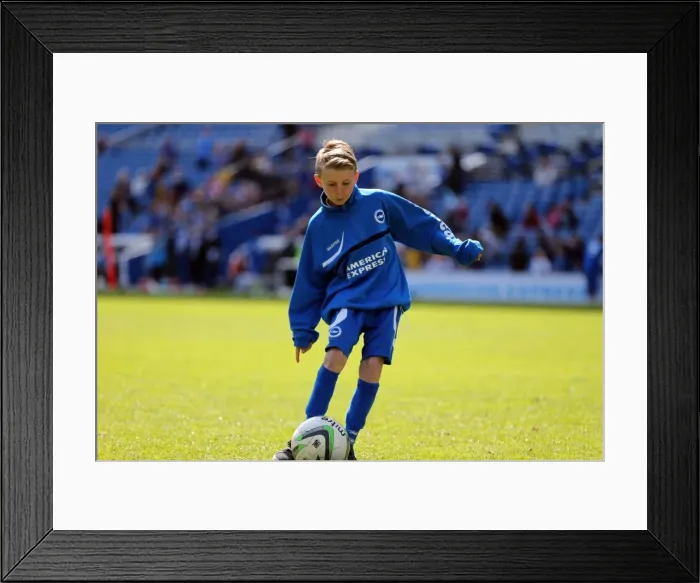 Framed Print : Young Seagulls Open Day (Easter 2014) at Brighton & Hove Albion FC Framed Print : Young Seagulls Open Day (Easter 2014) at Brighton & Hove Albion FC