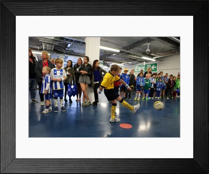 Framed Print : Young Seagulls Open Day (Easter 2014) at Brighton & Hove Albion FC Framed Print : Young Seagulls Open Day (Easter 2014) at Brighton & Hove Albion FC
