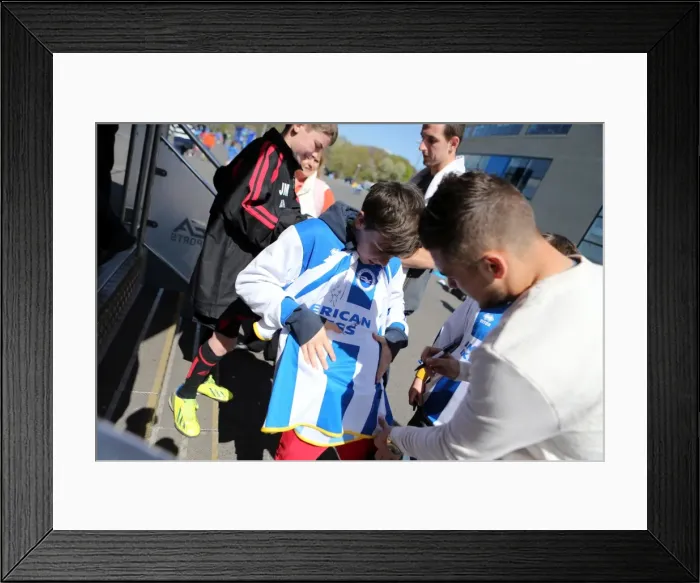 Framed Print : Young Seagulls Open Day (Easter 2014) - Brighton & Hove Albion FC Framed Print : Young Seagulls Open Day (Easter 2014) - Brighton & Hove Albion FC
