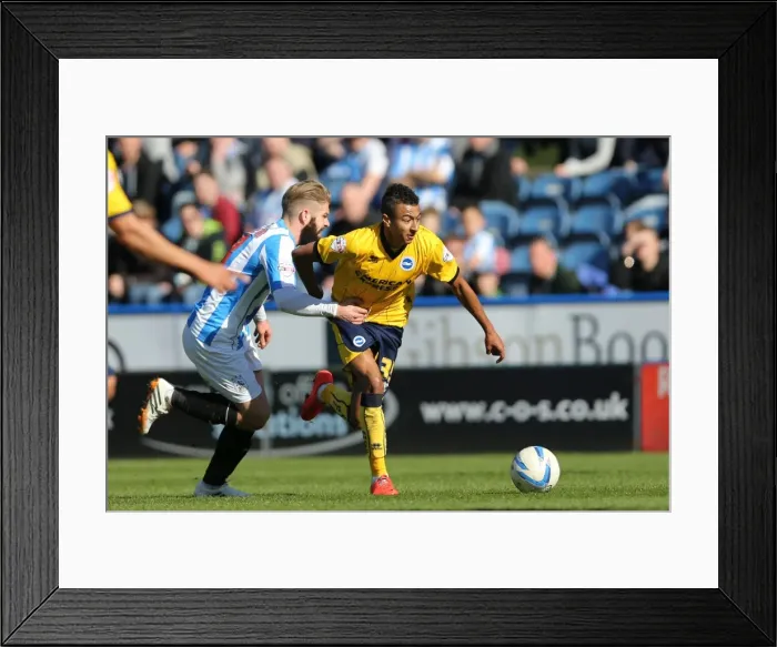 Framed Print : Brighton & Hove Albion vs. Huddersfield Town: 18-Apr-14 (Away Game) Framed Print : Brighton & Hove Albion vs. Huddersfield Town: 18-Apr-14 (Away Game)