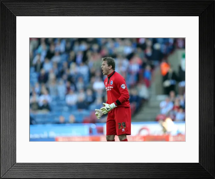 Framed Print : Brighton & Hove Albion vs. Huddersfield Town: 2013-14 Away Game (18 / 04 / 14) Framed Print : Brighton & Hove Albion vs. Huddersfield Town: 2013-14 Away Game (18 / 04 / 14)