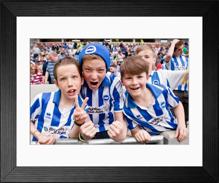 Framed Print : Brighton & Hove Albion vs. Blackpool: A 2013-14 Home Game (April 21)