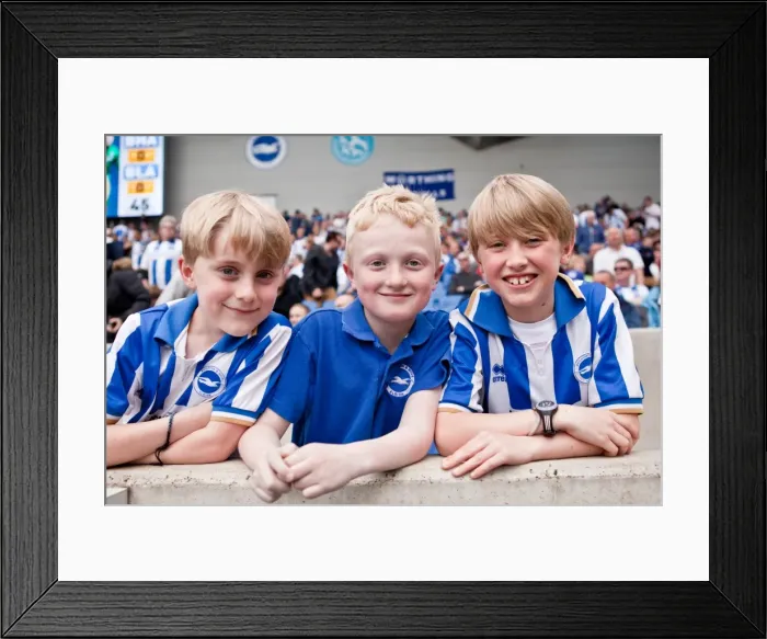 Framed Print : Brighton & Hove Albion vs. Blackpool: A Fight for Victory (21 / 04 / 14) Framed Print : Brighton & Hove Albion vs. Blackpool: A Fight for Victory (21 / 04 / 14)
