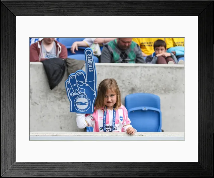 Framed Print : Brighton & Hove Albion vs. Blackpool: A 2013-14 Home Game (April 21)