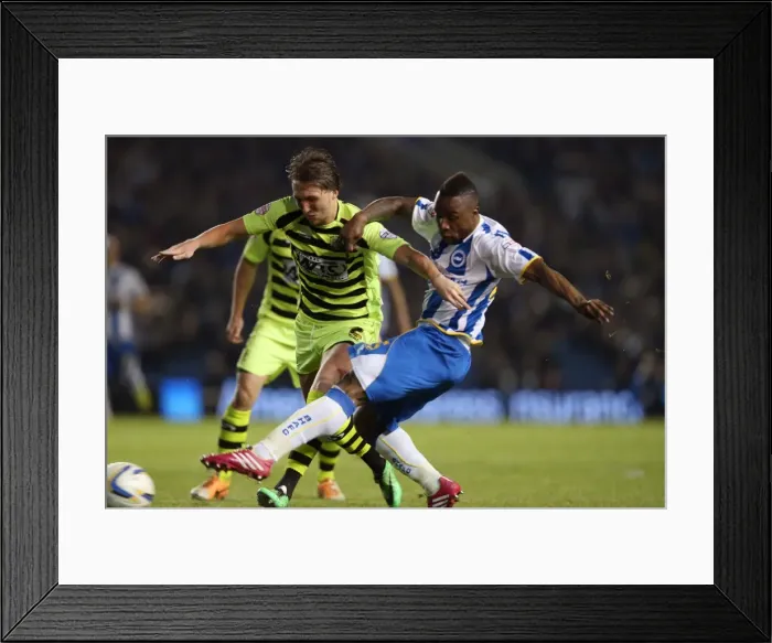 Framed Print : Yeovil Town 25APR14 Framed Print : Yeovil Town 25APR14