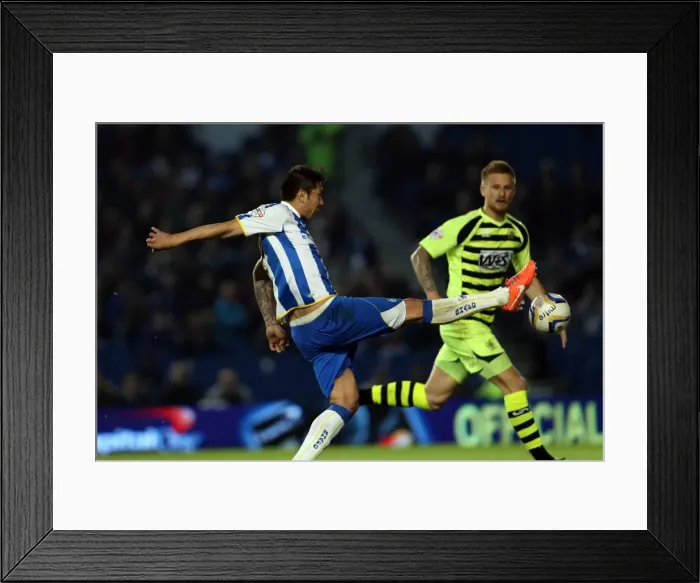 Framed Print : Brighton & Hove Albion vs. Yeovil Town: 25 April 2014 (Season 2013-14 Home Game) Framed Print : Brighton & Hove Albion vs. Yeovil Town: 25 April 2014 (Season 2013-14 Home Game)