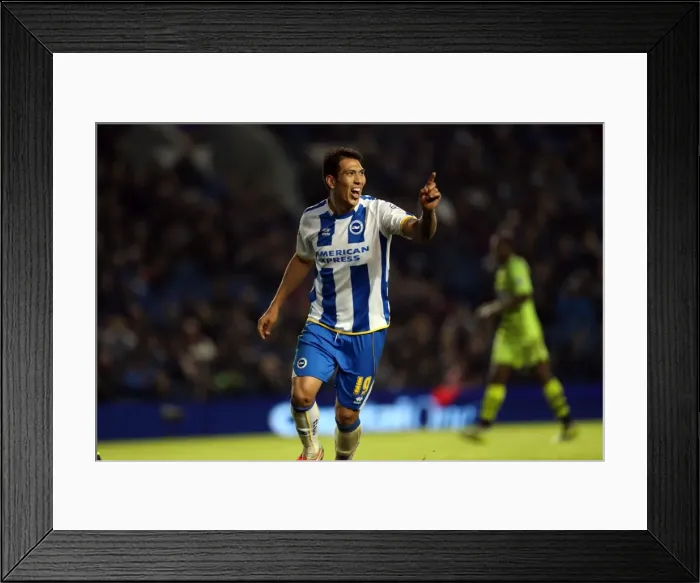 Framed Print : Brighton & Hove Albion vs. Yeovil Town: 25 April 2014 (Season 2013-14 Home Game) Framed Print : Brighton & Hove Albion vs. Yeovil Town: 25 April 2014 (Season 2013-14 Home Game)