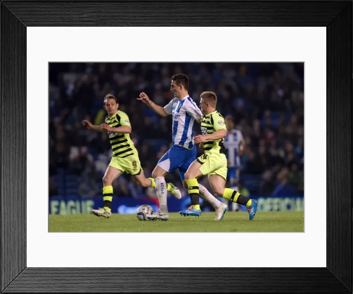 Framed Print : Brighton & Hove Albion vs. Yeovil Town: 25 April 2014 (Season 2013-14 Home Game) Framed Print : Brighton & Hove Albion vs. Yeovil Town: 25 April 2014 (Season 2013-14 Home Game)