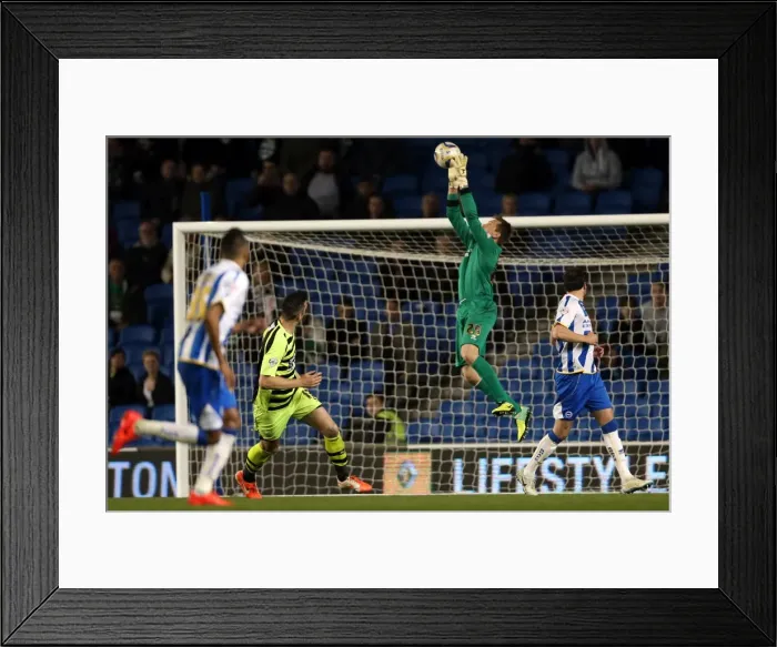 Framed Print : Brighton & Hove Albion vs. Yeovil Town: 25 April 2014 (The Seagulls Home Stand) Framed Print : Brighton & Hove Albion vs. Yeovil Town: 25 April 2014 (The Seagulls Home Stand)