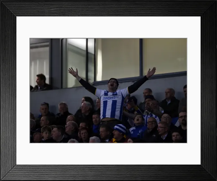 Framed Print : Brighton & Hove Albion vs. Yeovil Town: 2013-14 Season Home Game (25APR14) Framed Print : Brighton & Hove Albion vs. Yeovil Town: 2013-14 Season Home Game (25APR14)