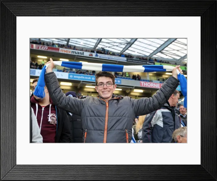 Framed Print : Brighton & Hove Albion vs. Yeovil Town: 25 April 2014 (The Seagulls Home Game against Yeovil Town) Framed Print : Brighton & Hove Albion vs. Yeovil Town: 25 April 2014 (The Seagulls Home Game against Yeovil Town)
