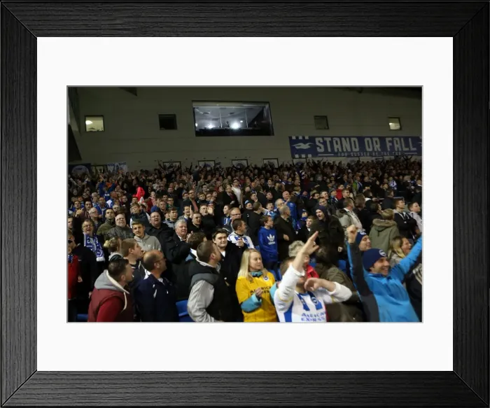 Framed Print : Brighton & Hove Albion vs. Yeovil Town: 2013-14 Season Home Game (25APR14) Framed Print : Brighton & Hove Albion vs. Yeovil Town: 2013-14 Season Home Game (25APR14)
