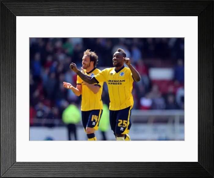 Framed Print : Brighton & Hove Albion at Nottingham Forest (Away Game, 03MAY14)