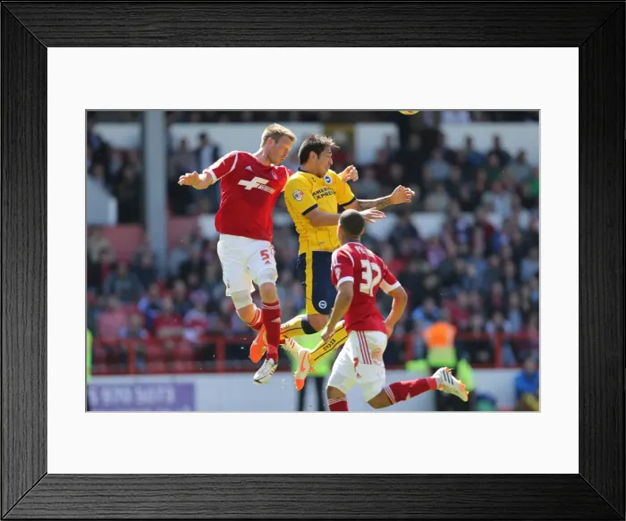 Framed Print : Brighton & Hove Albion's Away Victory at Nottingham Forest (03MAY14) Framed Print : Brighton & Hove Albion's Away Victory at Nottingham Forest (03MAY14)