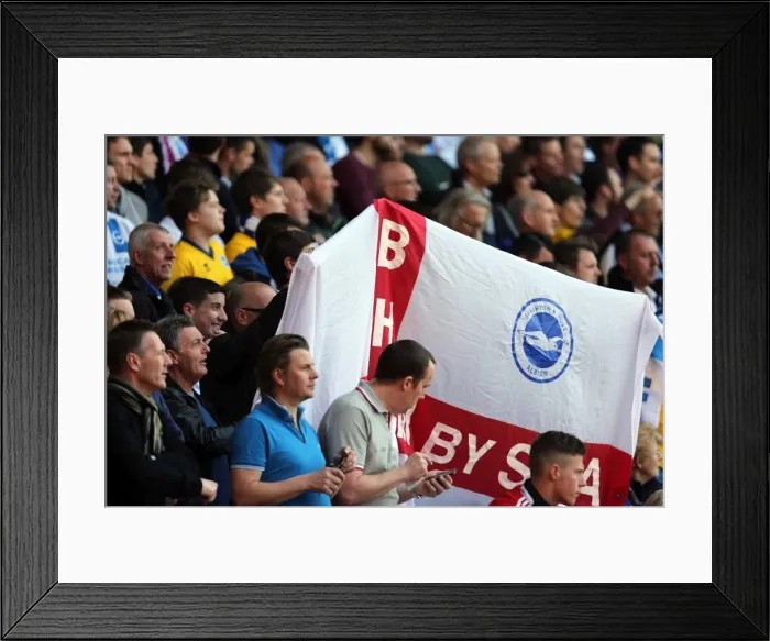 Framed Print : Brighton & Hove Albion's Away Victory at Nottingham Forest (03MAY14) Framed Print : Brighton & Hove Albion's Away Victory at Nottingham Forest (03MAY14)