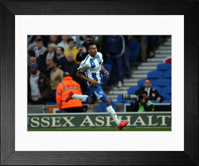 Framed Print : Brighton & Hove Albion vs. Derby County: 2013-14 Season Home Game (8 May) Framed Print : Brighton & Hove Albion vs. Derby County: 2013-14 Season Home Game (8 May)