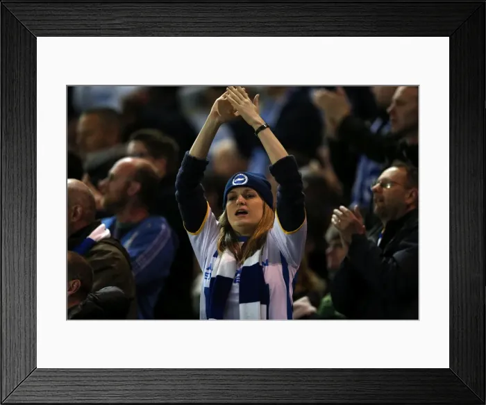 Framed Print : Brighton & Hove Albion vs. Derby County: 2013-14 Season Home Game (8 May) Framed Print : Brighton & Hove Albion vs. Derby County: 2013-14 Season Home Game (8 May)