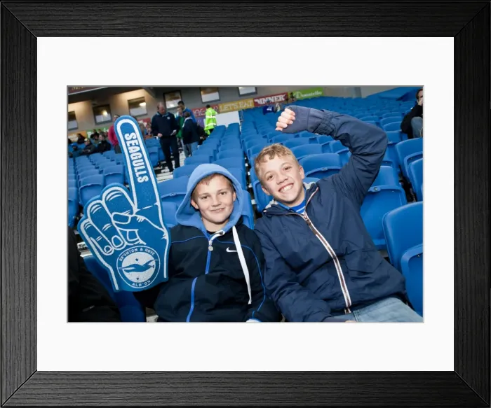 Framed Print : Brighton & Hove Albion vs. Derby County: 2013-14 Season Home Game (8 May) Framed Print : Brighton & Hove Albion vs. Derby County: 2013-14 Season Home Game (8 May)