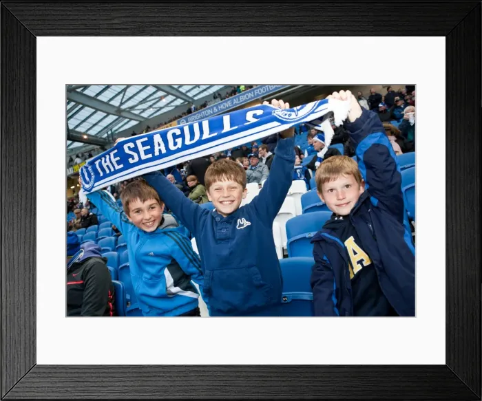 Framed Print : Brighton & Hove Albion vs. Derby County: 2013-14 Season Home Game (8 May) Framed Print : Brighton & Hove Albion vs. Derby County: 2013-14 Season Home Game (8 May)