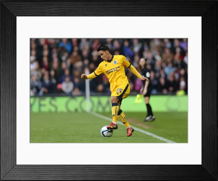 Framed Print : Brighton & Hove Albion vs. Derby County: 2013-14 Season Away Game (11 May 2014) Framed Print : Brighton & Hove Albion vs. Derby County: 2013-14 Season Away Game (11 May 2014)