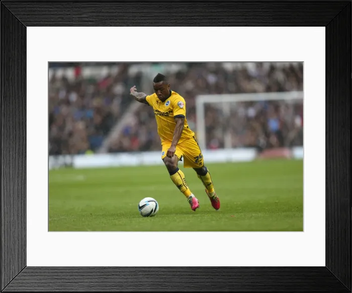 Framed Print : Brighton & Hove Albion vs. Derby County: 2013-14 Away Game (11 May 2014) Framed Print : Brighton & Hove Albion vs. Derby County: 2013-14 Away Game (11 May 2014)